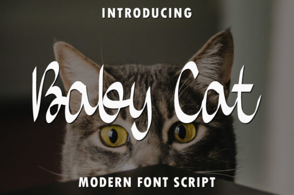 Baby Cat: A Timeless Script Font for Editorial Design