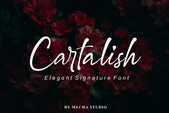 Cartalish: A Timeless Script Font for Campaigns