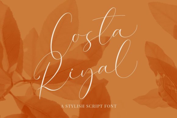 Costa Riyal: A Font That Elevates Branding
