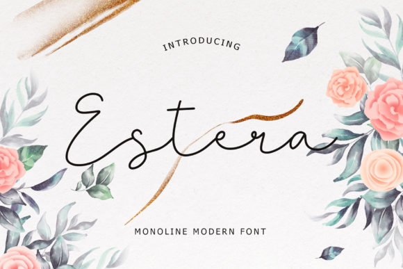 Estera: The Font That Elevates Your Campaigns
