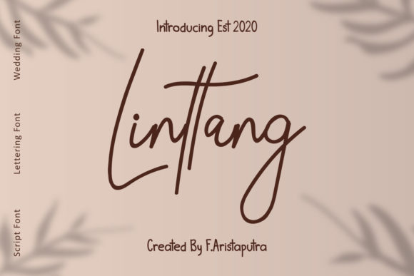 Linttang: A Beautiful Font for Digital Design