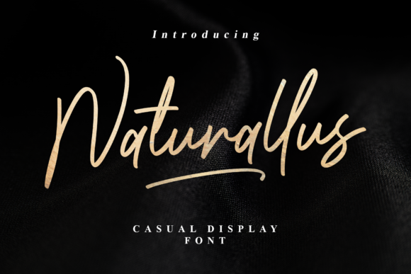 Naturallus Font for Web Design
